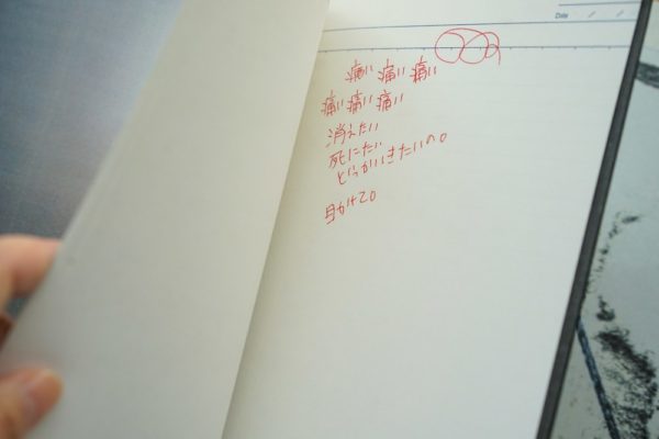 Internal Notebook - Miki Hasegawa